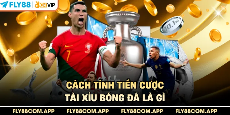 Cách tính tiền cược tài xỉu bóng đá là gì 