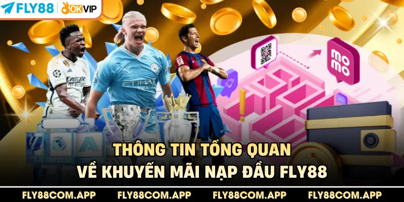 Thông tin tổng quan về khuyến mãi nạp đầu Fly88